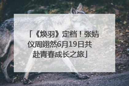 《焕羽》定档！张婧仪周翊然6月19日共赴青春成长之旅