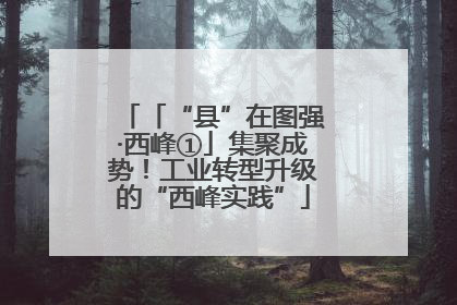 「“县”在图强·西峰①」集聚成势！工业转型升级的“西峰实践”