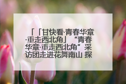 「甘快看·青春华章·重走西北角」“青春华章·重走西北角”采访团走进花舞南山 探寻天水乡村振兴之路