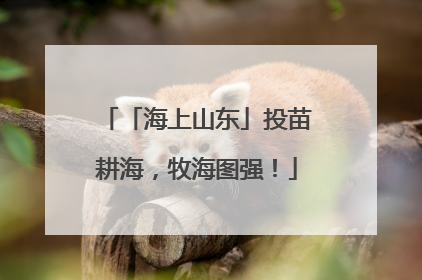 「海上山东」投苗耕海，牧海图强！
