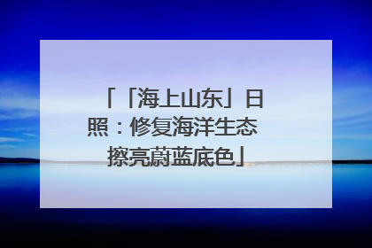 「海上山东」日照：修复海洋生态 擦亮蔚蓝底色