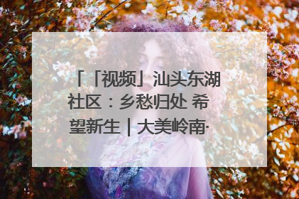 「视频」汕头东湖社区：乡愁归处 希望新生｜大美岭南·百村焕新记