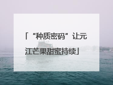 “种质密码”让元江芒果甜蜜持续