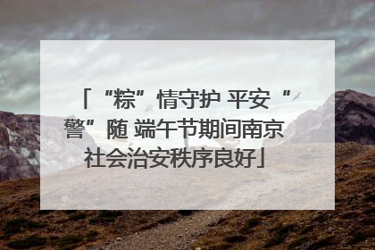 “粽”情守护 平安“警”随 端午节期间南京社会治安秩序良好