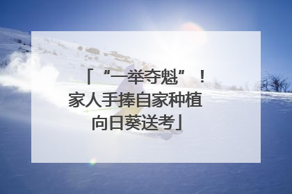 “一举夺魁”！家人手捧自家种植向日葵送考