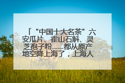 “中国十大名茶”六安瓜片、霍山石斛、灵芝孢子粉……都从原产地空降上海了，上海人这个周末得去农展中心逛逛咯～