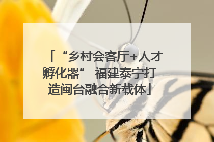 “乡村会客厅+人才孵化器” 福建泰宁打造闽台融合新载体