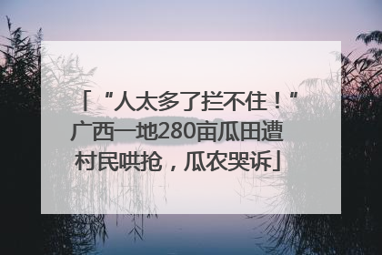 “人太多了拦不住！”广西一地280亩瓜田遭村民哄抢，瓜农哭诉