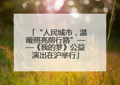 “人民城市，温暖照亮前行路”——《我的梦》公益演出在沪举行