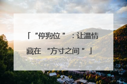 “停狗位 ”：让温情藏在 “方寸之间 ”