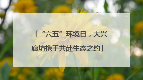 “六五”环境日，大兴廊坊携手共赴生态之约