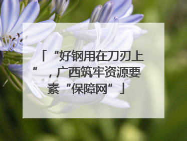 “好钢用在刀刃上”，广西筑牢资源要素“保障网”
