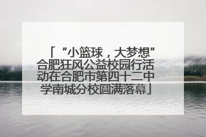 “小篮球，大梦想”合肥狂风公益校园行活动在合肥市第四十二中学南城分校圆满落幕