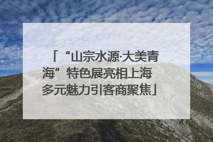 “山宗水源·大美青海”特色展亮相上海 多元魅力引客商聚焦