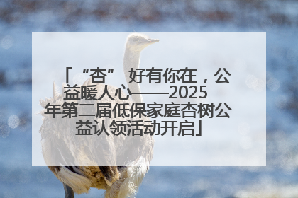 “杏” 好有你在，公益暖人心——2025 年第二届低保家庭杏树公益认领活动开启