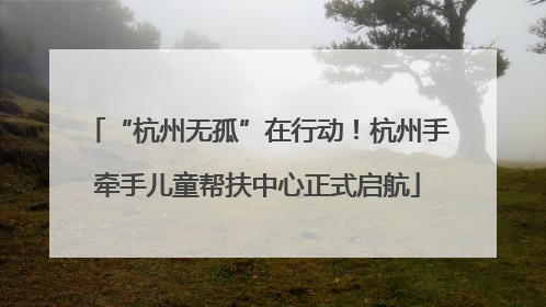 “杭州无孤”在行动！杭州手牵手儿童帮扶中心正式启航