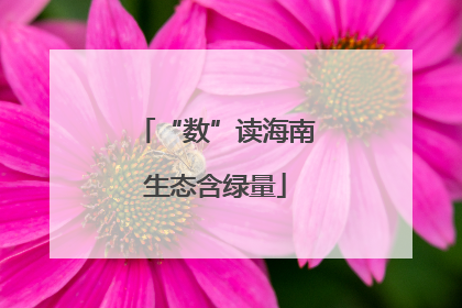 “数”读海南生态含绿量