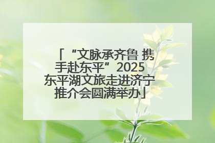 “文脉承齐鲁 携手赴东平”2025东平湖文旅走进济宁推介会圆满举办