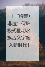 “检察+非遗”保护模式推动水族古文字融入新时代