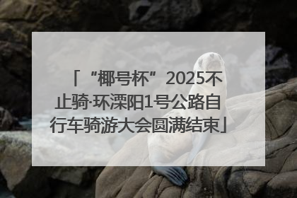 “椰号杯”2025不止骑·环溧阳1号公路自行车骑游大会圆满结束