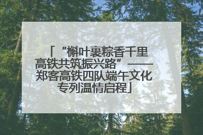 “槲叶裹粽香千里 高铁共筑振兴路”——郑客高铁四队端午文化专列温情启程
