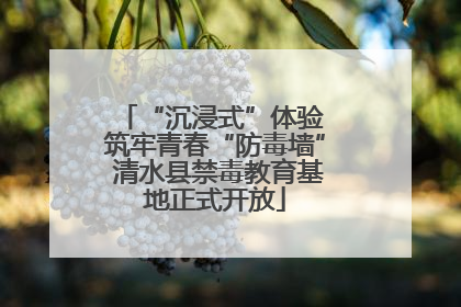 “沉浸式”体验 筑牢青春“防毒墙” 清水县禁毒教育基地正式开放