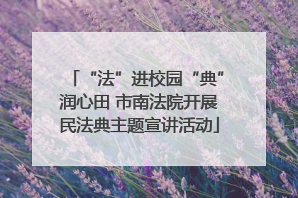 “法”进校园“典”润心田 市南法院开展民法典主题宣讲活动