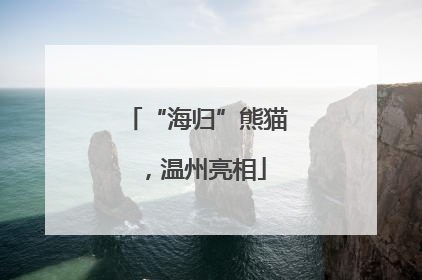 “海归”熊猫，温州亮相