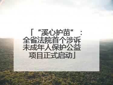 “溪心护苗”：全省法院首个涉诉未成年人保护公益项目正式启动