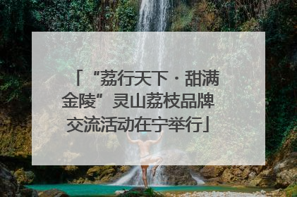 “荔行天下・甜满金陵”灵山荔枝品牌交流活动在宁举行