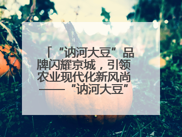 “讷河大豆”品牌闪耀京城，引领农业现代化新风尚——“讷河大豆”品牌新发地推介会圆满落幕