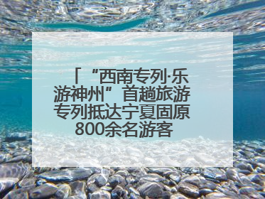 “西南专列·乐游神州”首趟旅游专列抵达宁夏固原 800余名游客开启清凉之旅