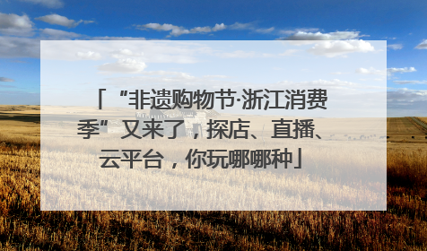 “非遗购物节·浙江消费季”又来了，探店、直播、云平台，你玩哪哪种
