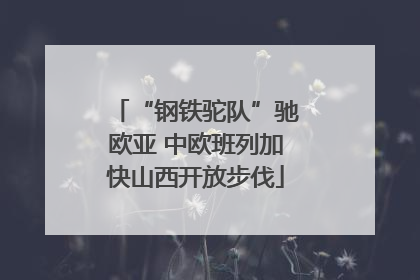 “钢铁驼队”驰欧亚 中欧班列加快山西开放步伐