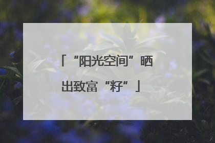 “阳光空间”晒出致富“籽”