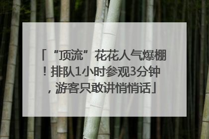 “顶流”花花人气爆棚！排队1小时参观3分钟，游客只敢讲悄悄话
