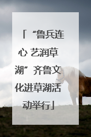 “鲁兵连心 艺润草湖”齐鲁文化进草湖活动举行