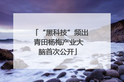 “黑科技”频出 青田杨梅产业大脑首次公开