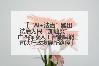 “AI+法治”跑出法治为民“加速度” 广西探索人工智能赋能司法行政发展新路径