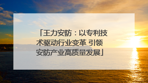 王力安防：以专利技术驱动行业变革 引领安防产业高质量发展