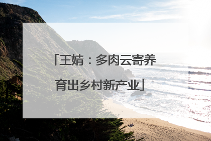 王婧：多肉云寄养 育出乡村新产业