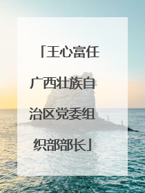 王心富任广西壮族自治区党委组织部部长
