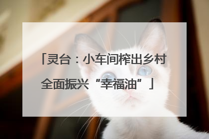 灵台：小车间榨出乡村全面振兴“幸福油”