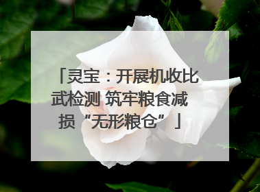 灵宝：开展机收比武检测 筑牢粮食减损“无形粮仓”
