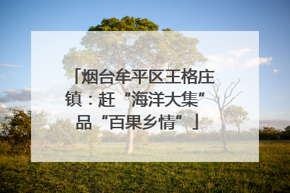 烟台牟平区王格庄镇：赶“海洋大集” 品“百果乡情”