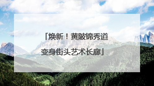 焕新！黄陂锦秀道变身街头艺术长廊