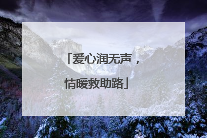 爱心润无声，情暖救助路