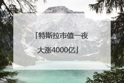 特斯拉市值一夜大涨4000亿