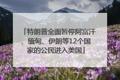 特朗普全面暂停阿富汗、缅甸、伊朗等12个国家的公民进入美国