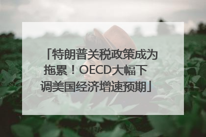 特朗普关税政策成为拖累！OECD大幅下调美国经济增速预期